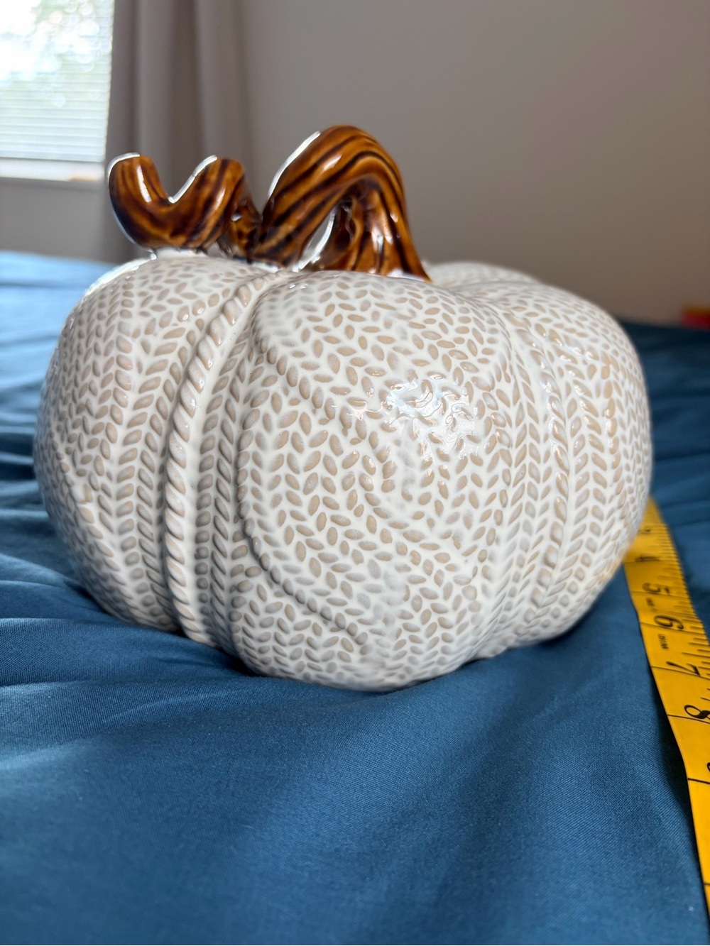Old East Main Co Cream Knit Texture Ceramic Pumpkin Fall Decor 9”